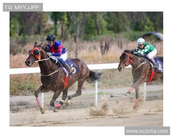 武汉排球队的速度之谜：排球巨献带你领略竞技魅力与团队精神